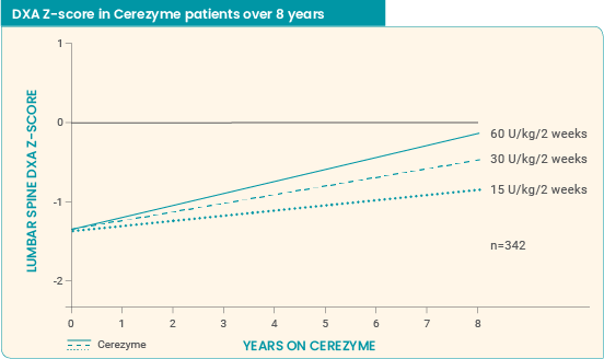 Cerezyme impact on BMD over 8 years